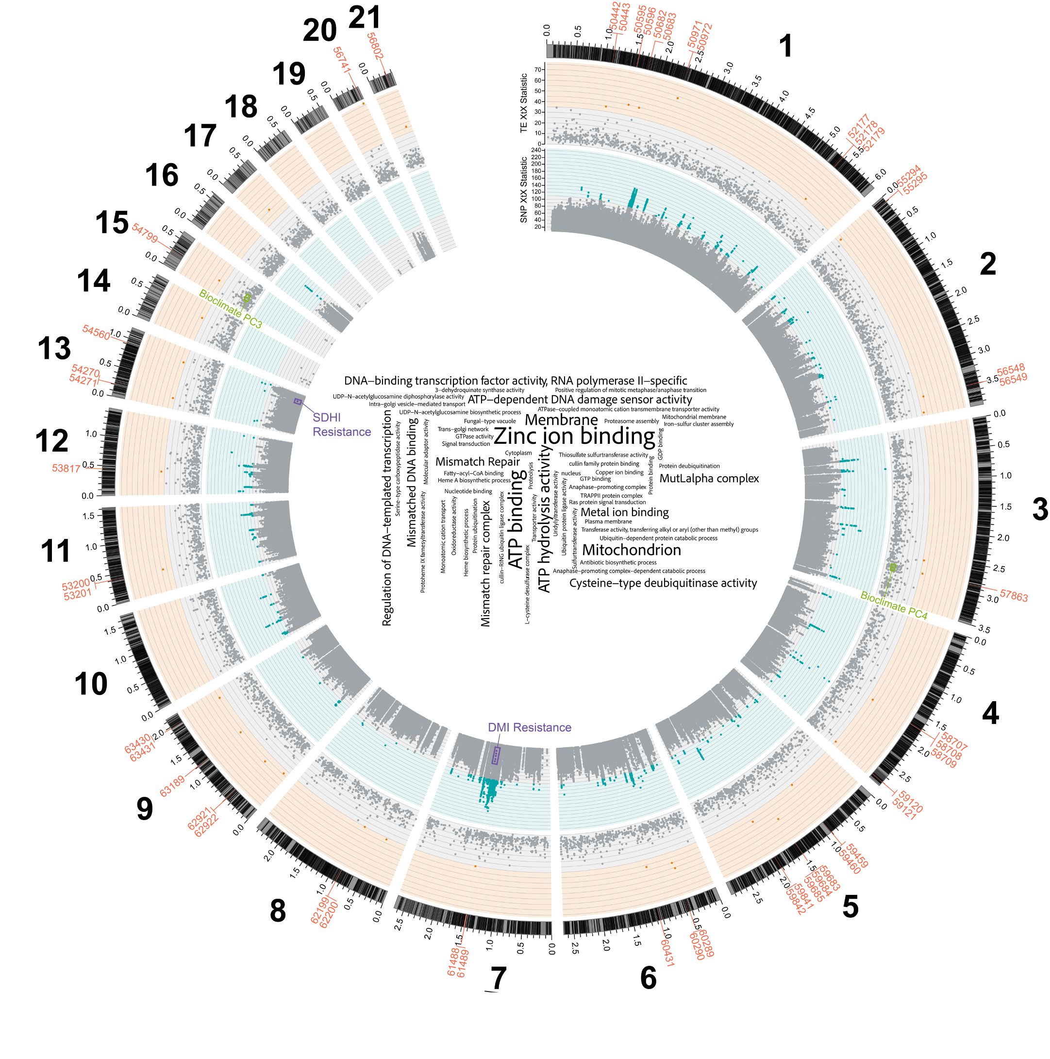 Ecological Interactions and Biodiversity Change