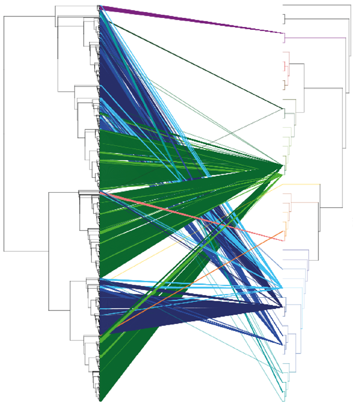 The Evolutionary History of Mobile DNA