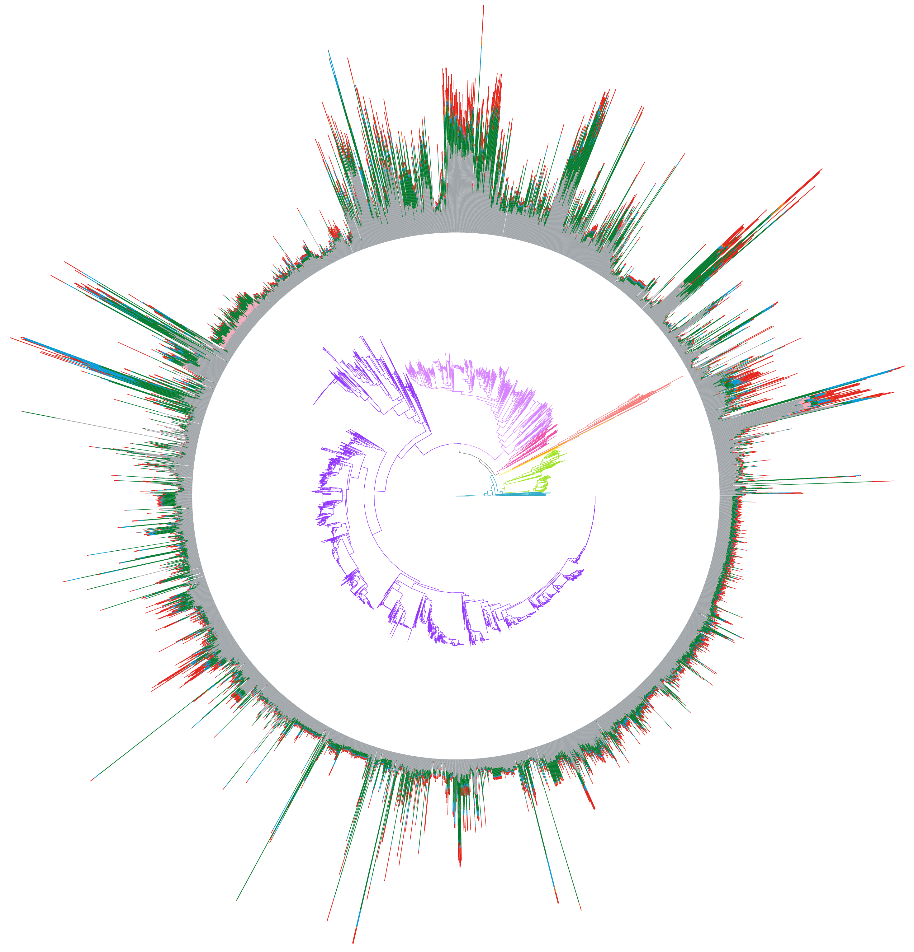 Transposable Elements, Host-TE Interactions, and Genome Evolution