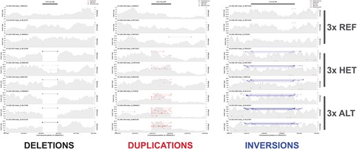 Calling Structural Variants with Confidence from Short-Read Data in Wild Bird Populations