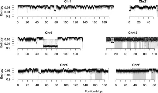A New Chromosome-Assigned Mongolian Gerbil Genome Allows Characterization of Complete Centromeres and a Fully Heterochromatic Chromosome