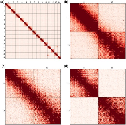 The genome sequence of the lesser marbled fritillary, i Brenthis ino i , and evidence for a segregating neo-Z chromosome