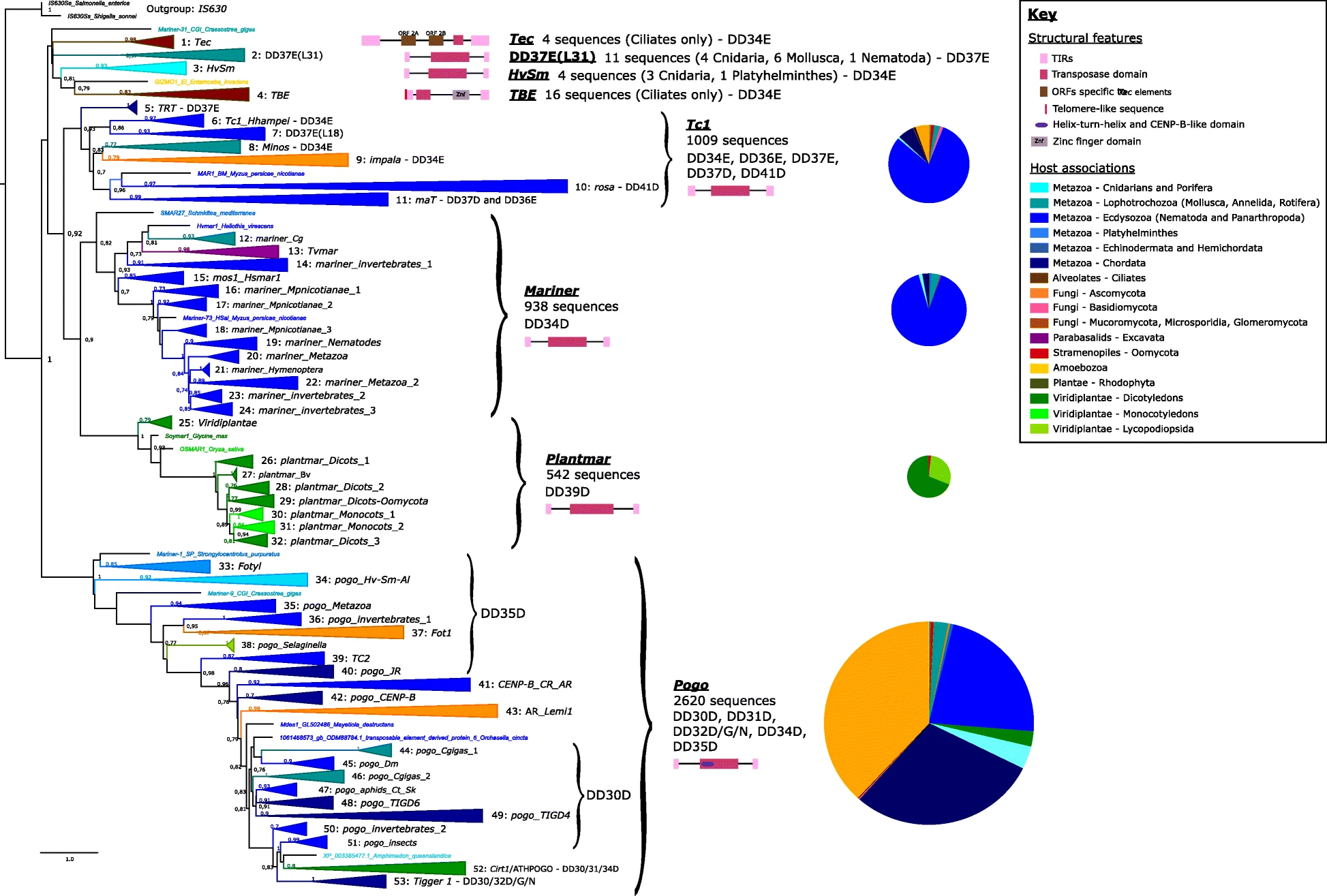 Phylogenetic analysis of the Tc1 mariner superfamily reveals the unexplored diversity of pogo-like elements