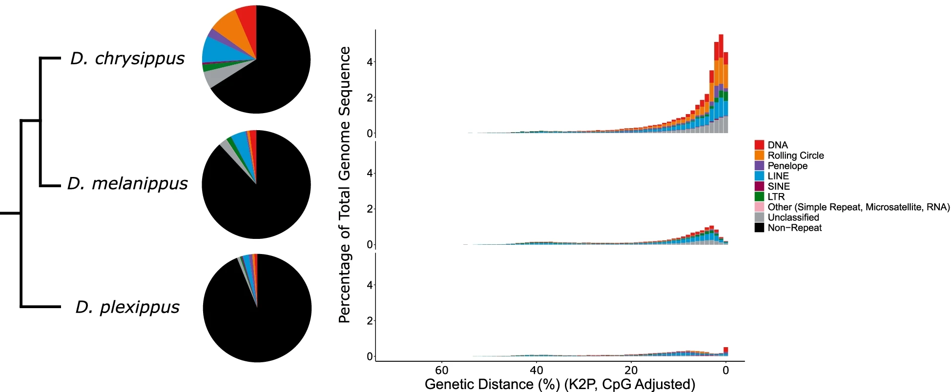 Migrators within migrators: exploring transposable element dynamics in the monarch butterfly, Danaus plexippus