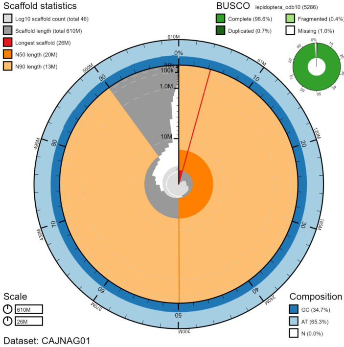 The genome sequence of the heath fritillary, Melitaea athalia Rottemburg, 1775